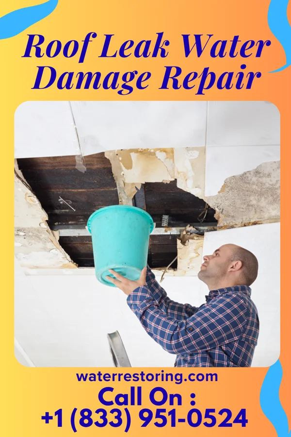 Roof Leak Water Damage Repair in Connell, WA